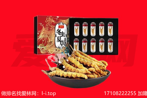 湘潭市韶山回收虫草.jpg